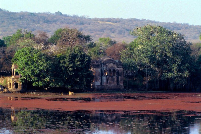 Ranthambhore fort