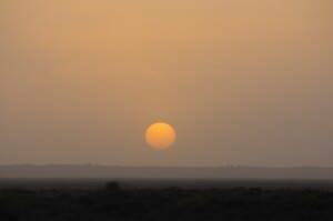 Low sun in Mango National Park