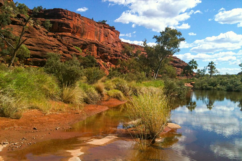 Palm Valley in West MacDonnell Ranges
