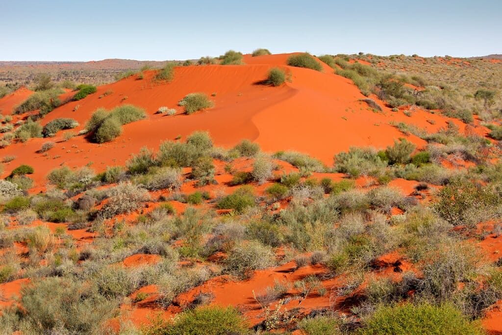 Australian Desert - red sand dunes