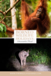 Borneo Wildlife Holidays in Deramakot Forest Reserve