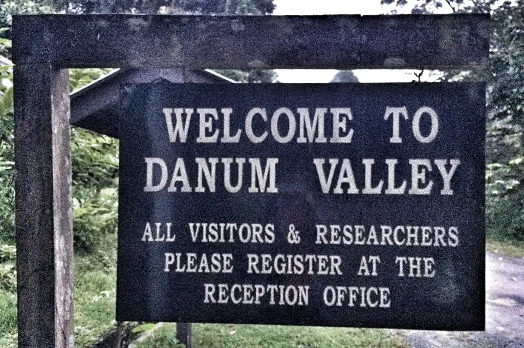 Welcome to Danum Valley