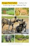 Kruger Park Safari – Different Options For Exploring Kruger National Park