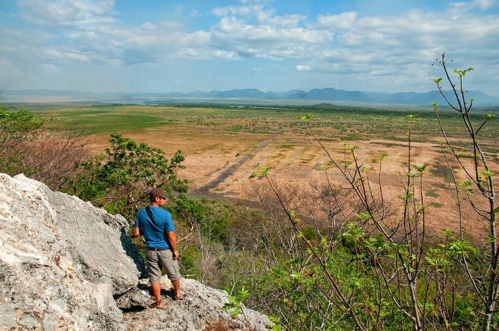 View in Palo Verde National Park