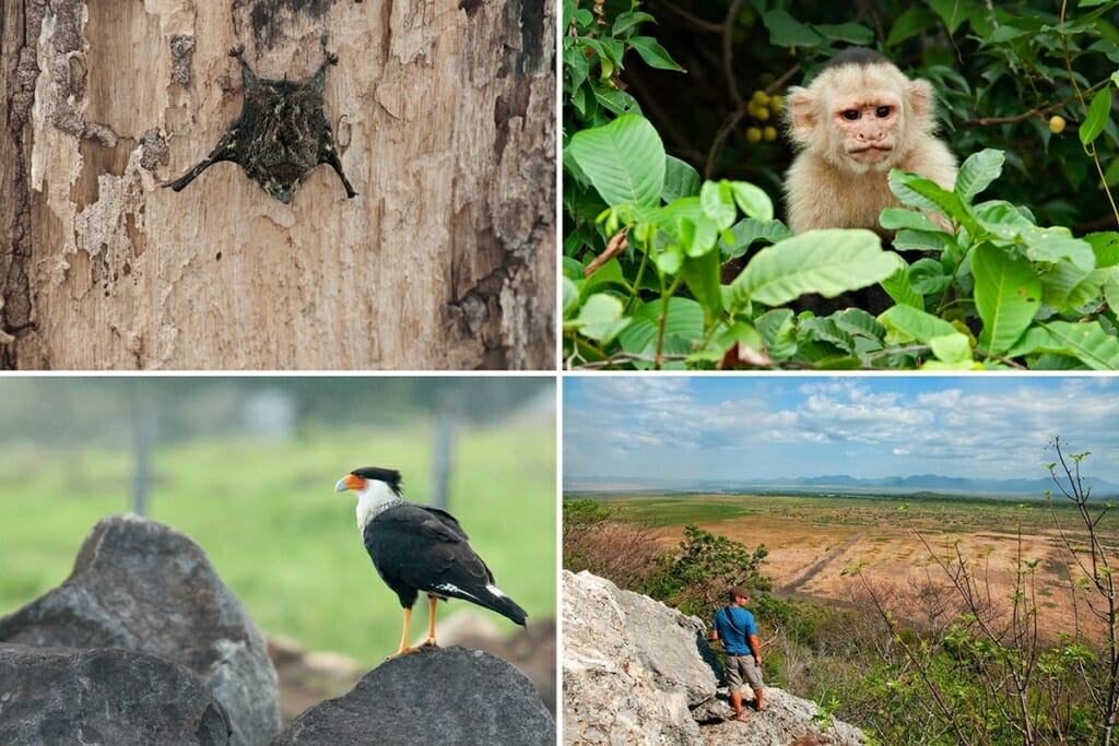 Exploring Palo Verde National Park in Costa Rica