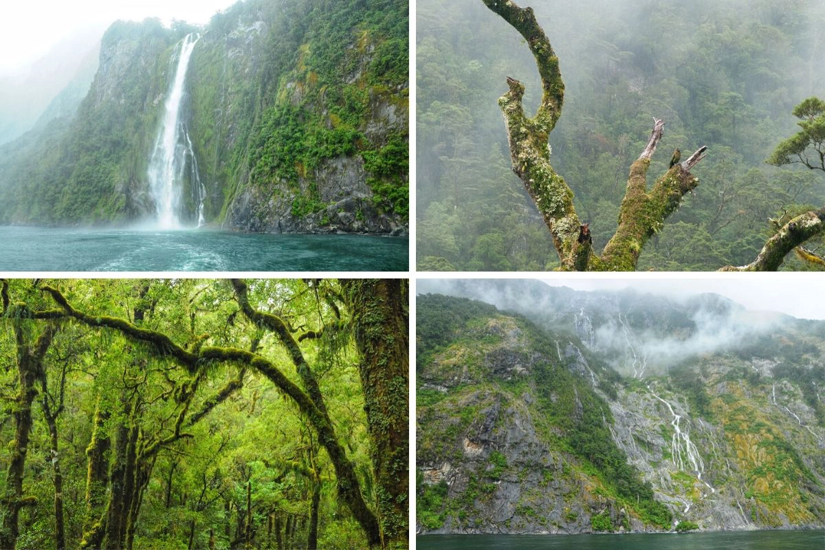 Milford Sound day trip from Queenstown