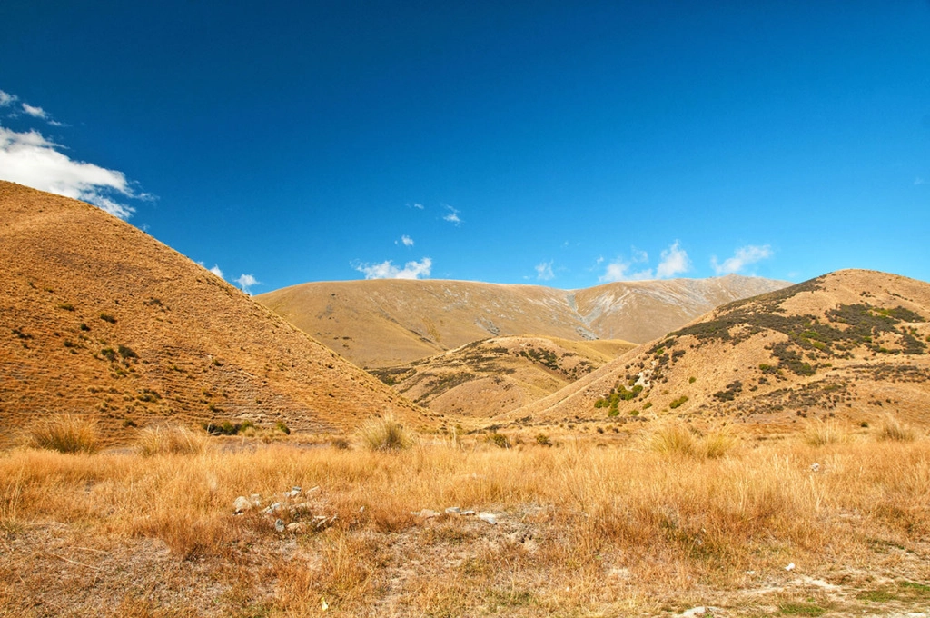 Fox Glacier to Queenstown through Central Otago