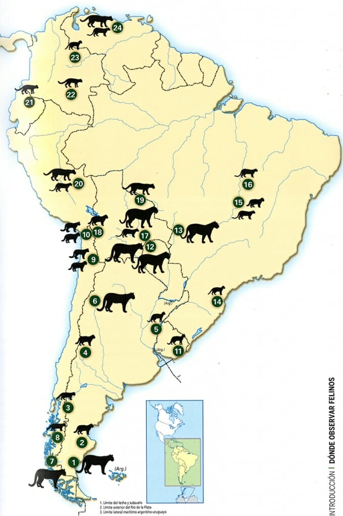 Map of Wild cat sites in South America