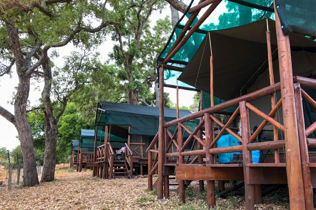 Bush camp for a walking safari