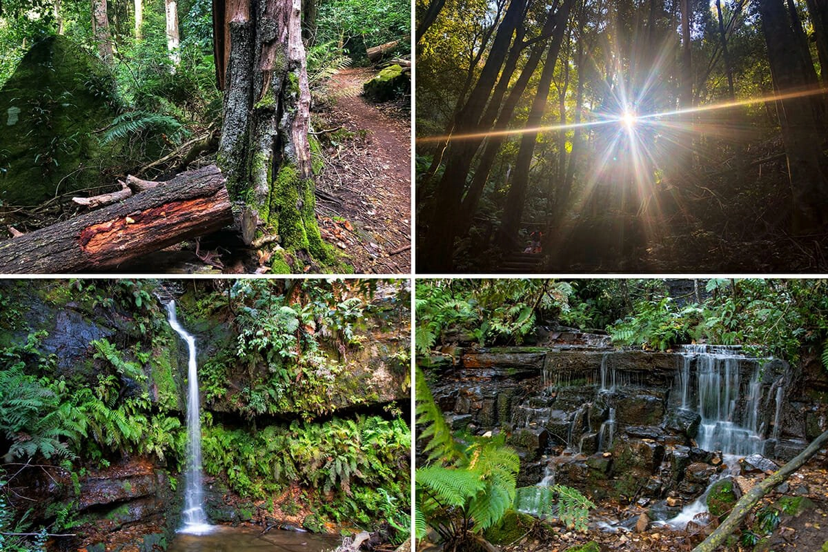 things to do in sydney after lockdown