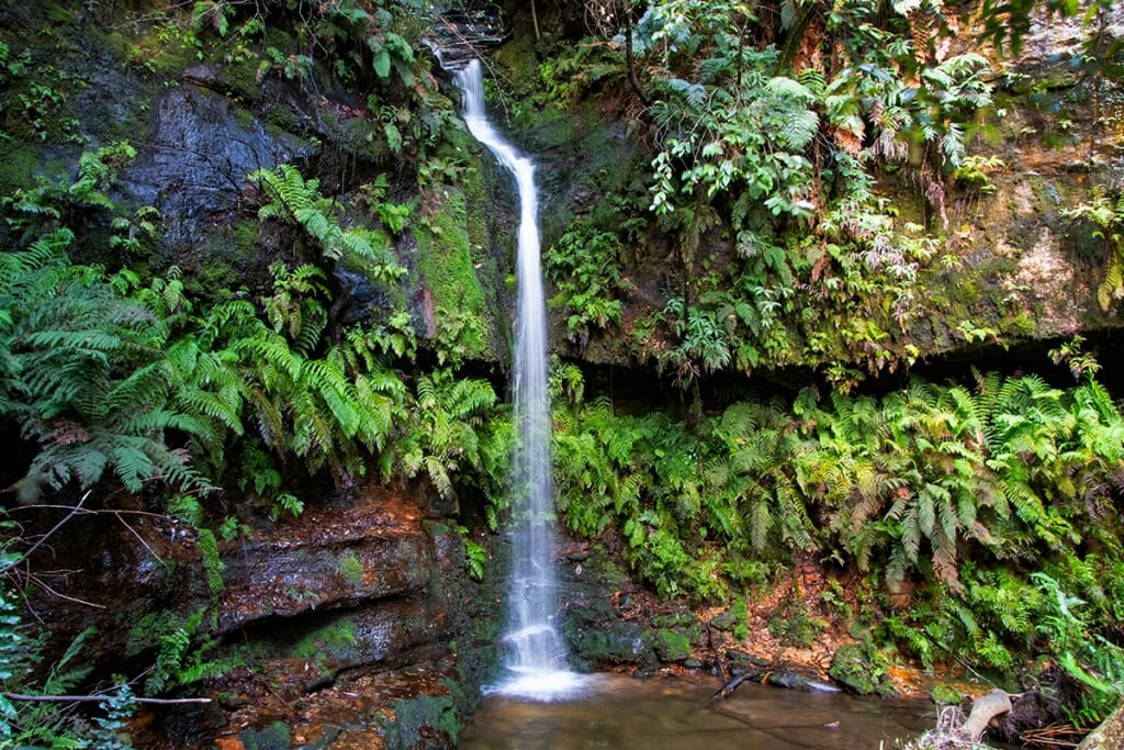 Linda falls dardanelles pass blue mountains