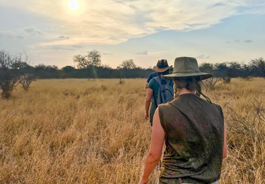 Walking safari in the African bush
