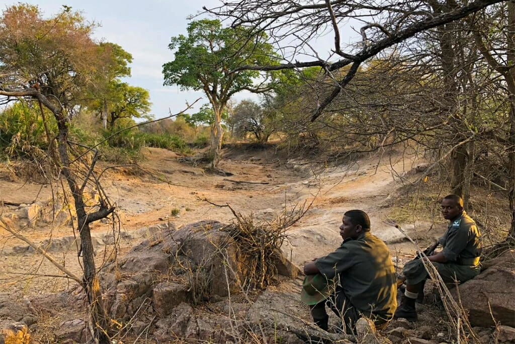 rangers in the african bush