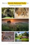 Best of Kerala National Parks for spotting wildlife
