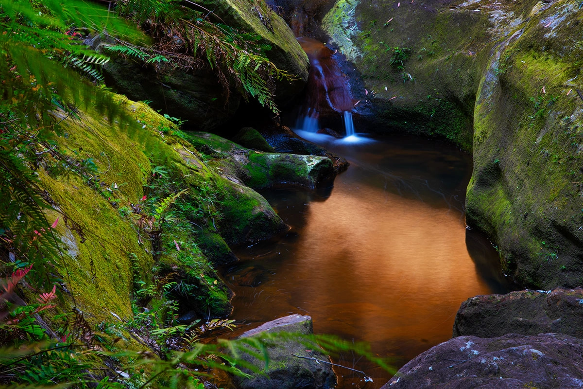 Grand Canyon walk, Blue Mountains