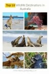Top 10 Wildlife Destinations in Australia