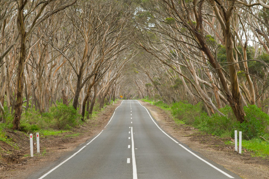 road on kangaroo island