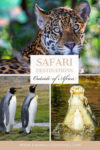 Safari Holidays destinations outside of Africa