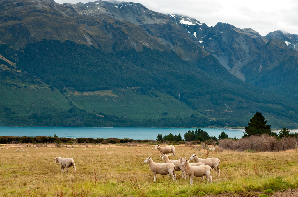 Queenstown to Glenorchy, New Zealand South Island