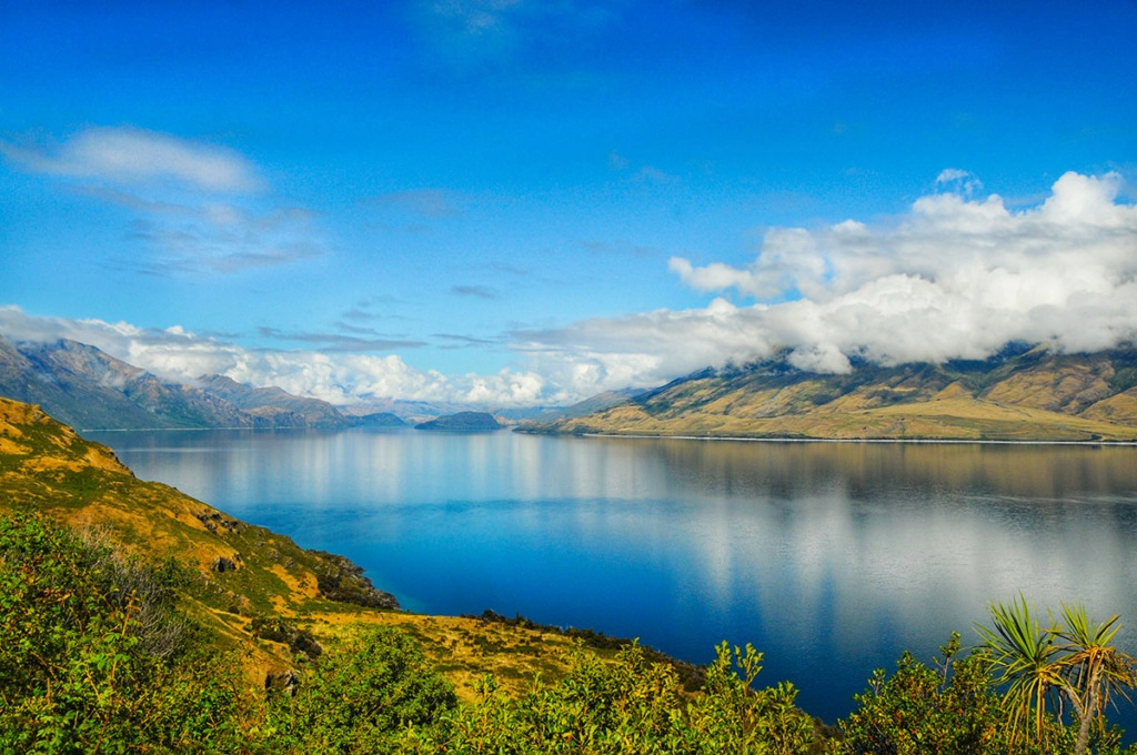 Queenstont to Fox Glacier -Lake Hawea