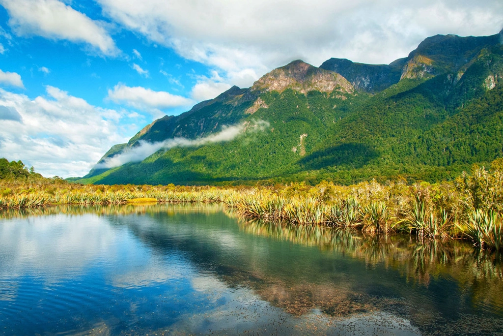 New Zealand South Island road tripMirror lakes