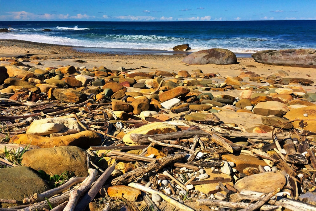 Driftwood on Werrong Beach