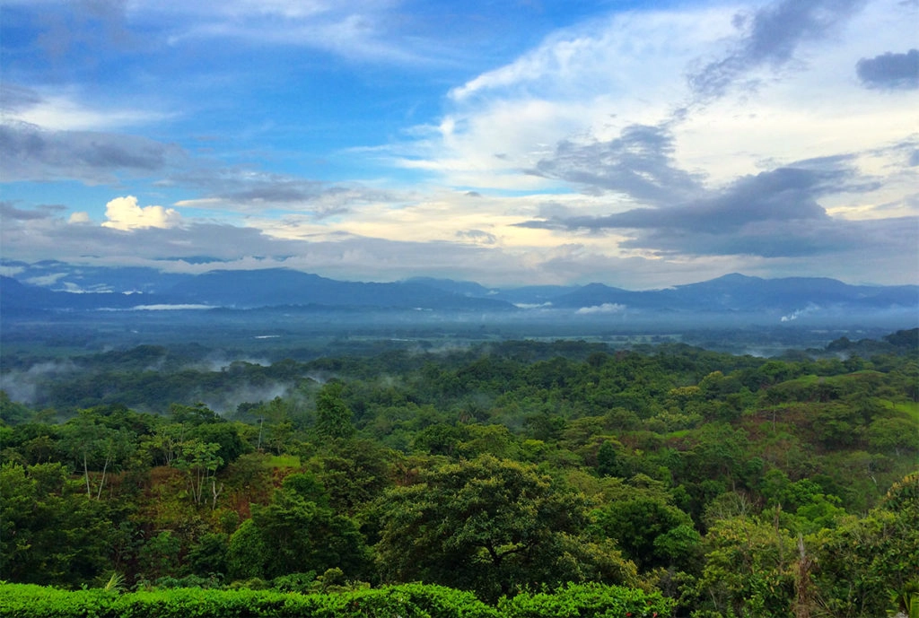 Manuel Antonio wilderness