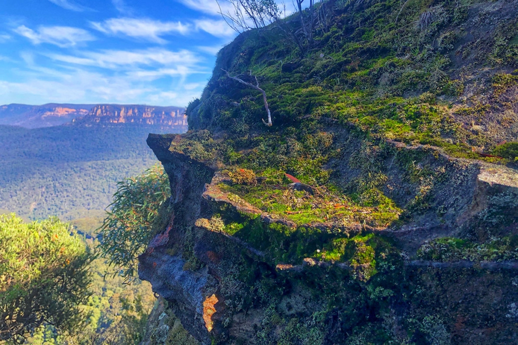 Moss-covered rock on Prince Henry walking trail in Blue Mountains