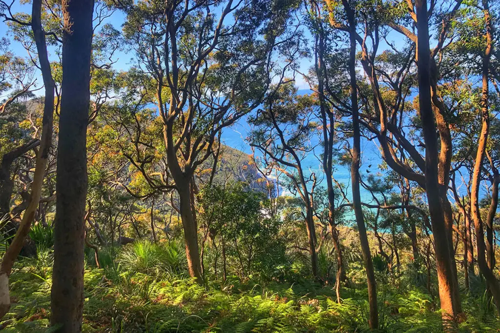 View from the Cliff Track in Royal