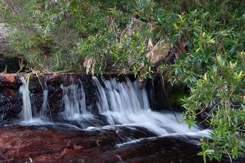 Wattamolla cascades