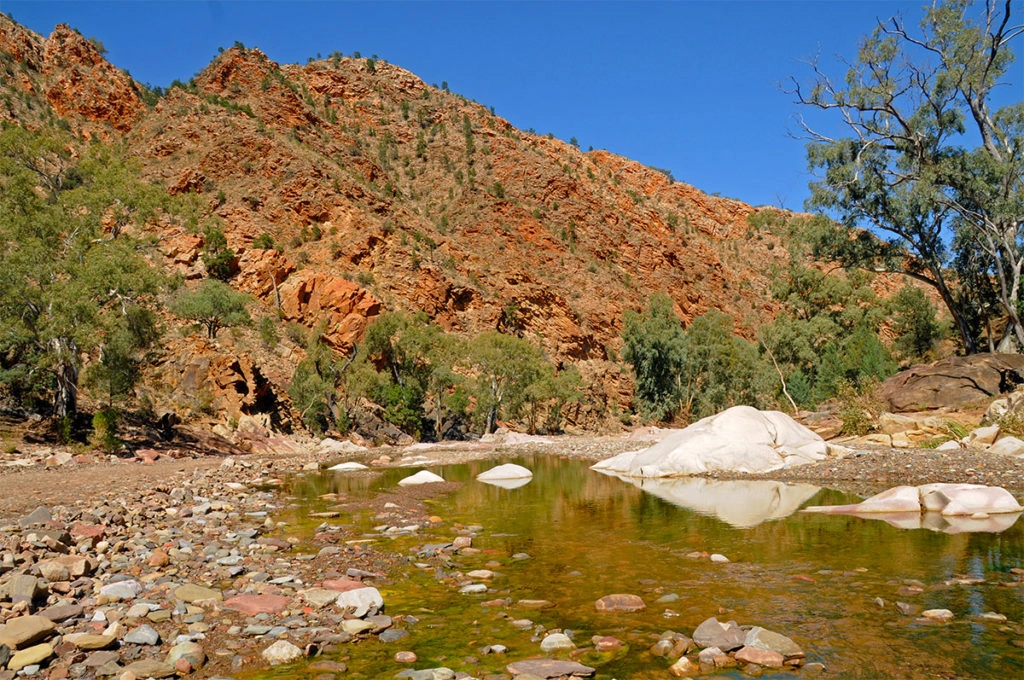 Finding wildlife on adelaide to darwin road trip - Brachina gorge