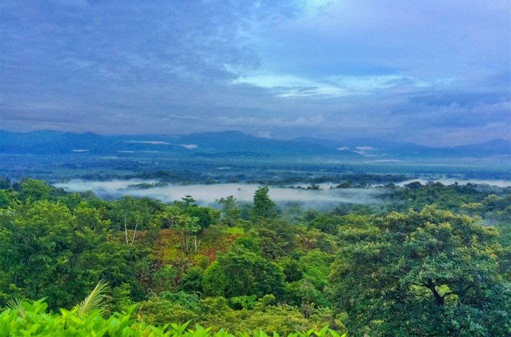 Mist over Manuel Antonio