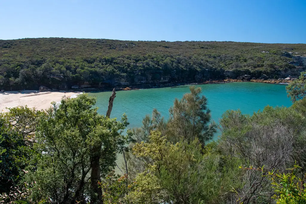 view of wattamolla beach from the trail