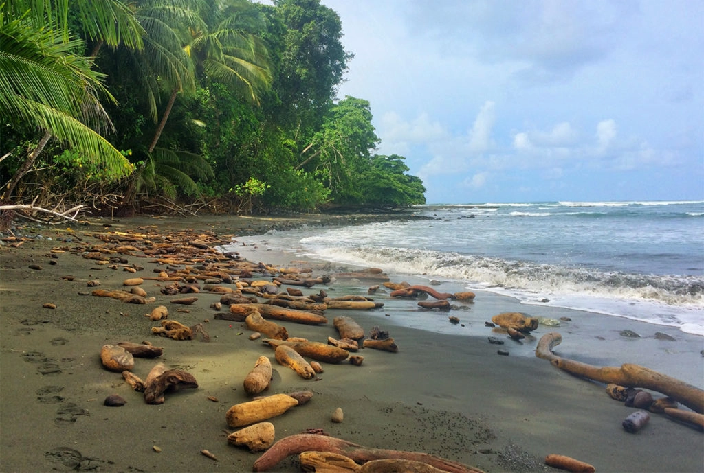 Beach in Puma valley - a superb ecotourism destination