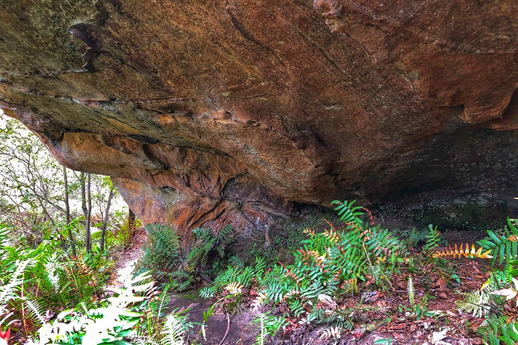 Cave in Lyrebird Dell