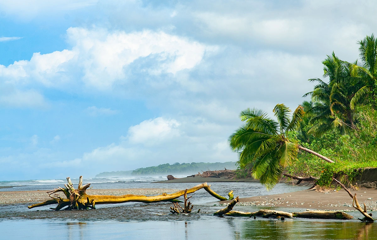 Corcovado Tour-corcovado beach