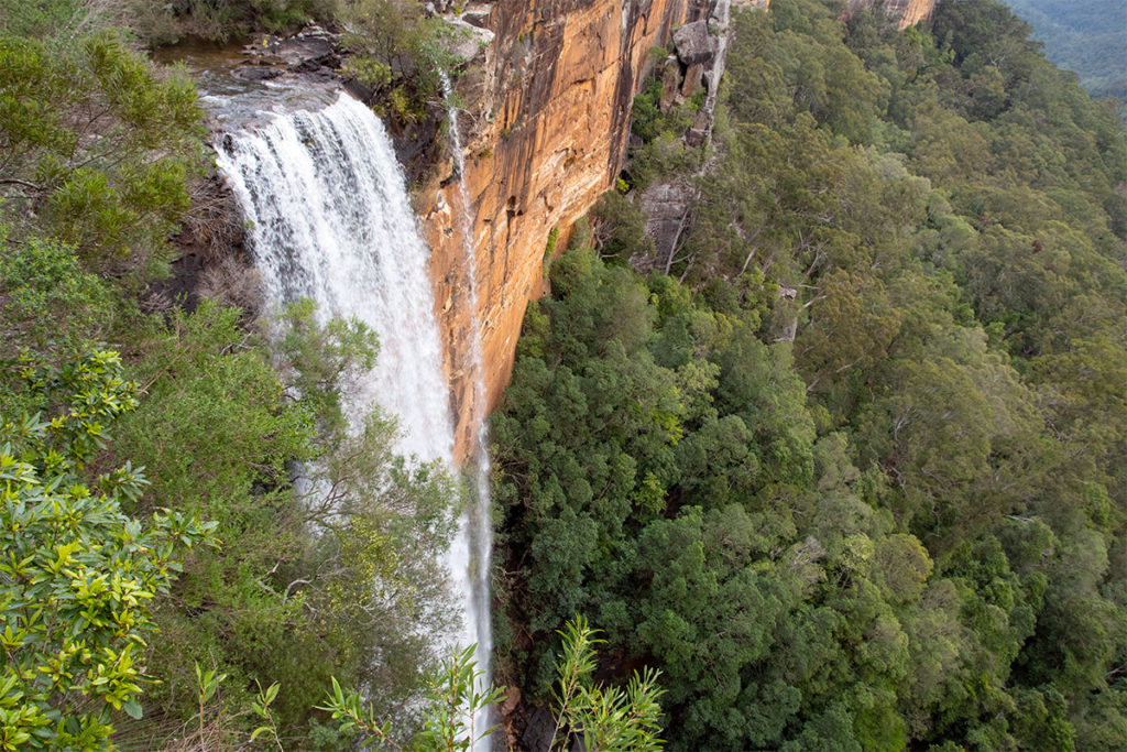 Things to do in Kangaroo Valley - visit Fitzroy Falls