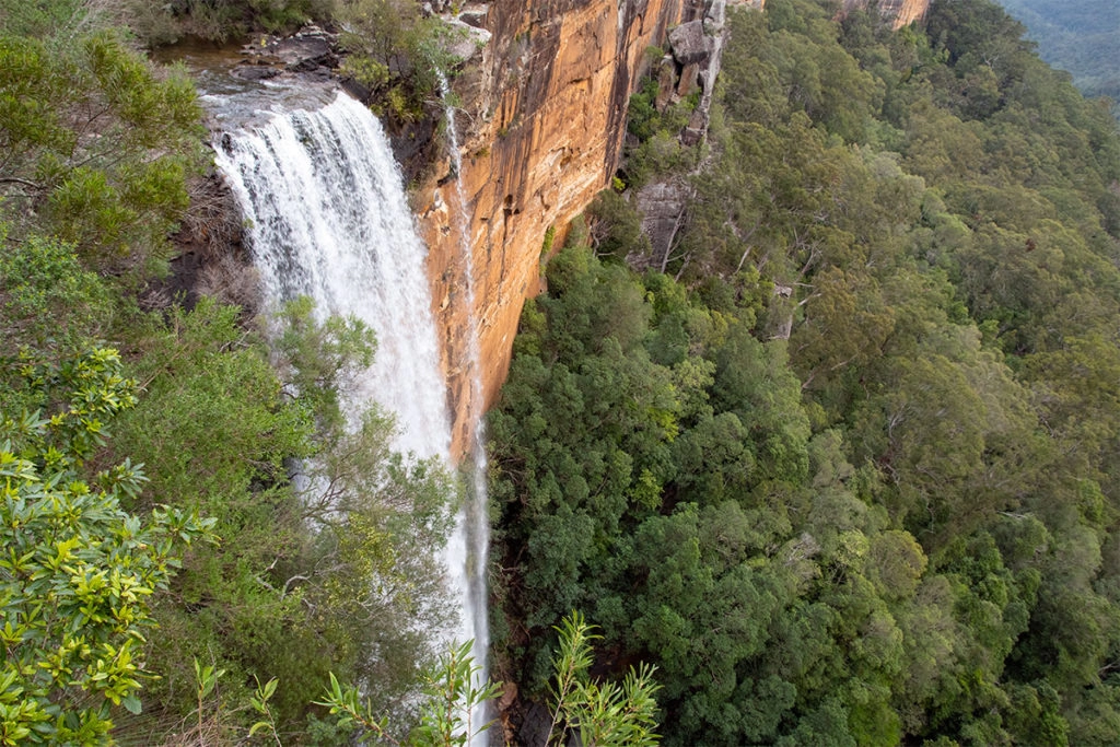 Fitzroy Falls on Sydney day tour