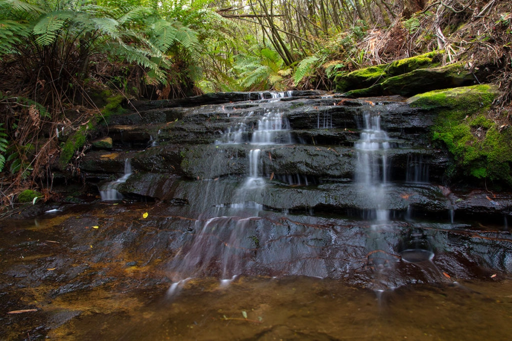 Cascades on Gordon Creek Leura