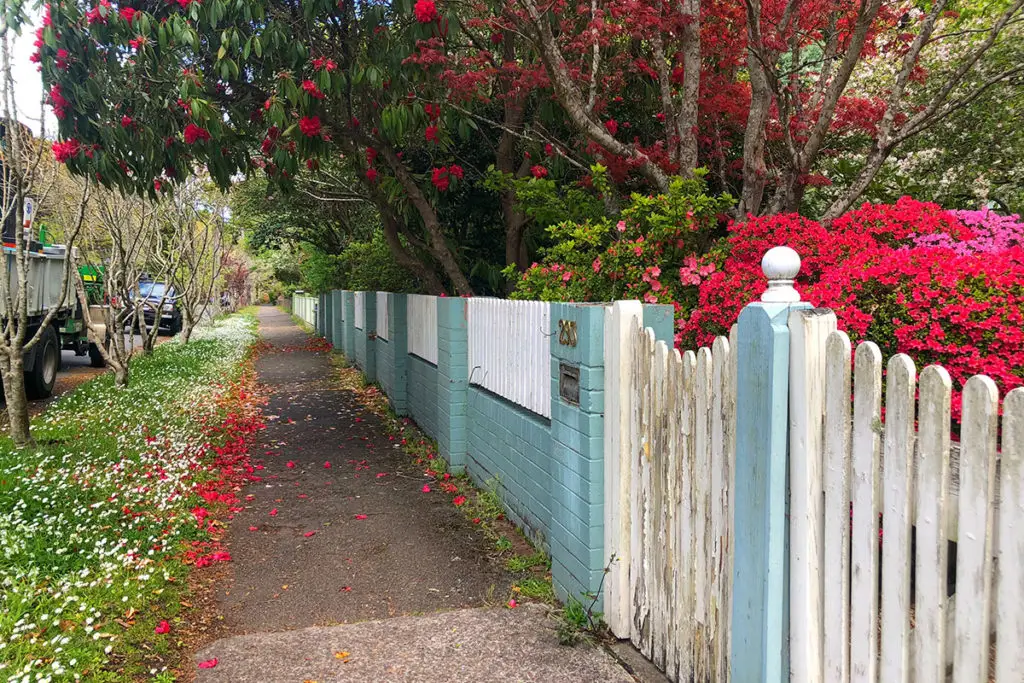 Cottage on Leura Parade