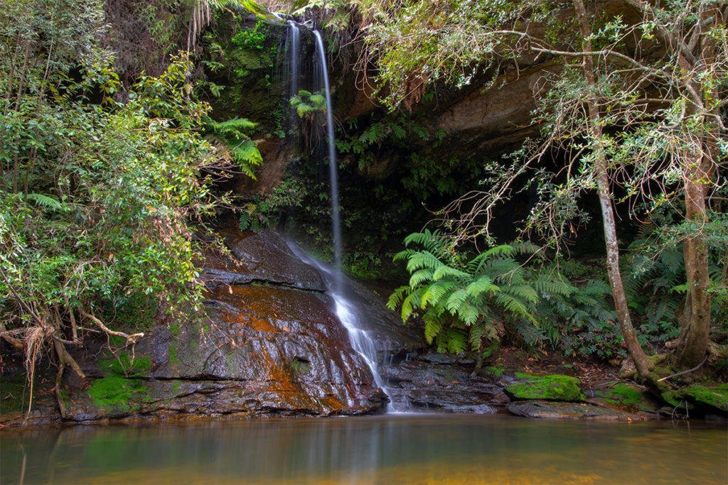 Lyrebird Dell waterfall