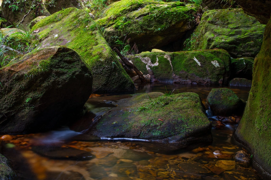 Moss-covered rocks in Grand Canyon, Blue Mountains