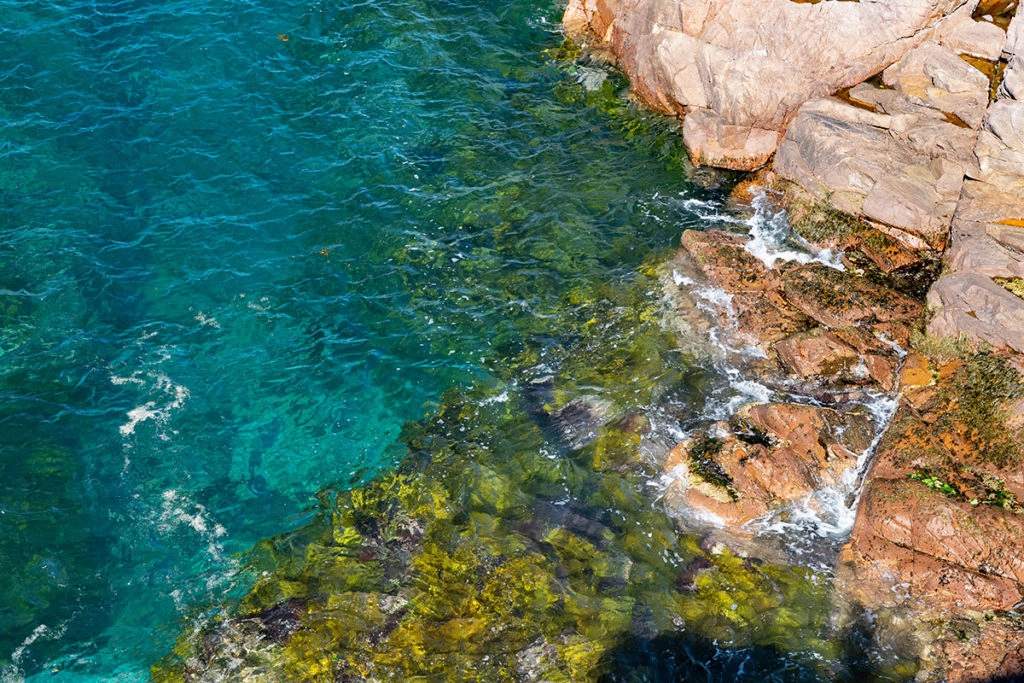 Boat Harbour rock pools