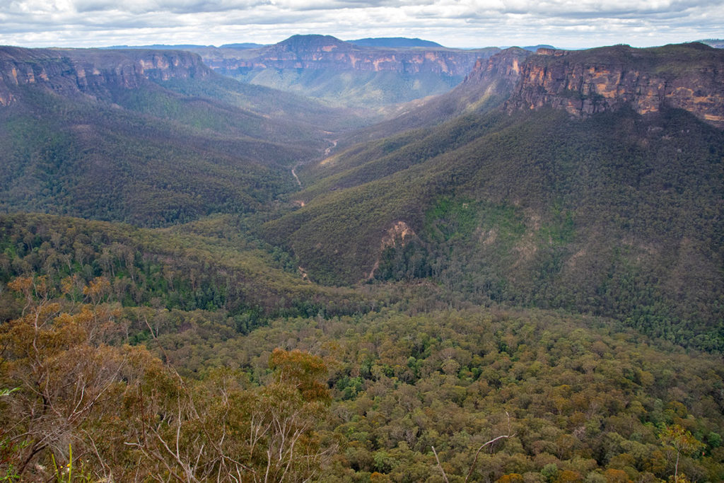 View of Grose Valley from Evans Lookout