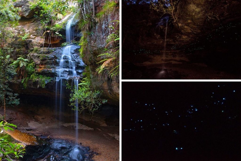 Glow worms and Waterfalls of Horseshoe Falls Walking Track in Hazelbrook