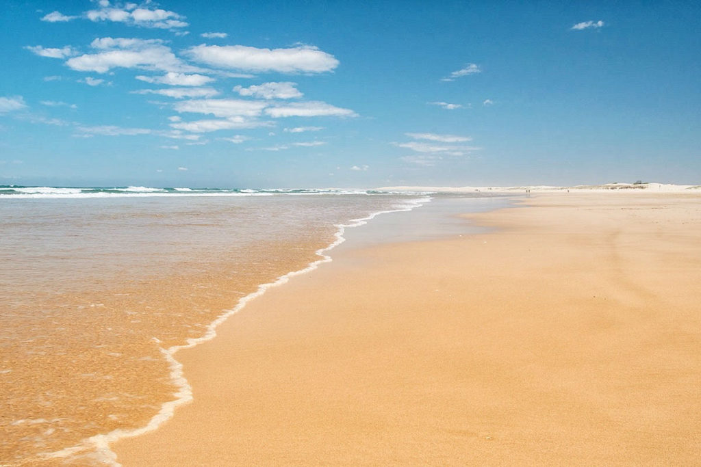 Things to do in Port Stephens -Stockton beach