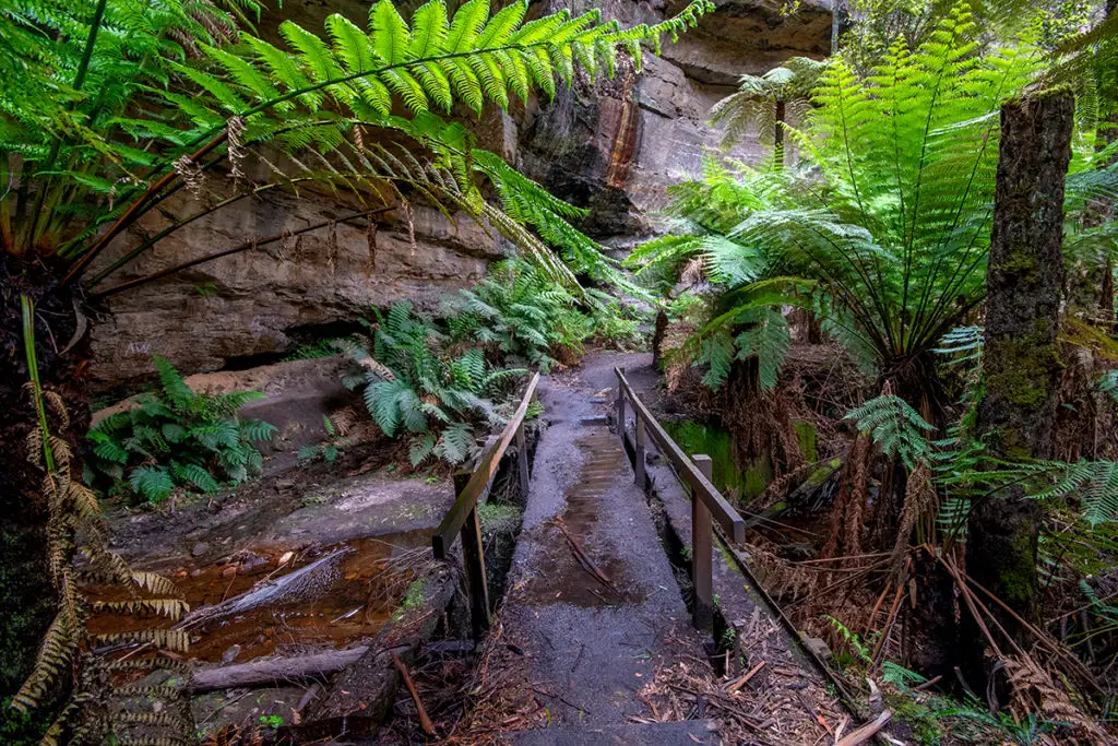 canyon along glow worm tunnel track