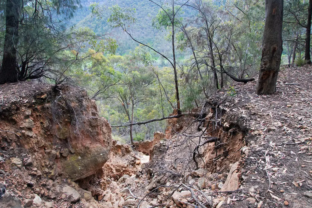 Glow worm tunnel track