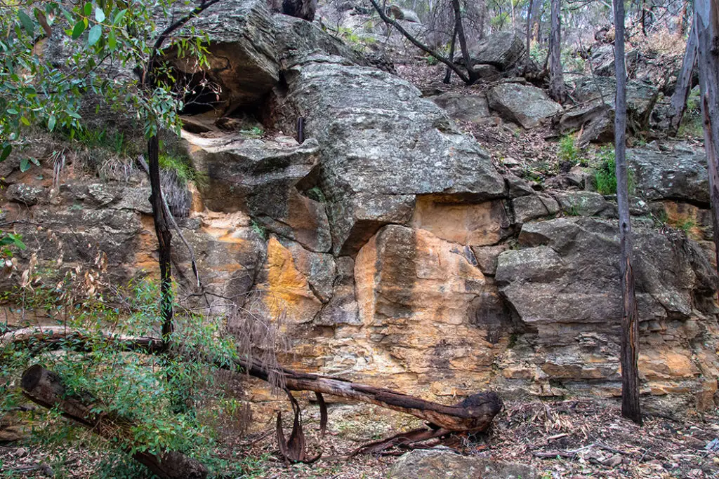 Glow worm tunnel track