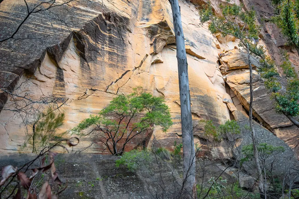 Glow worm tunnel track
